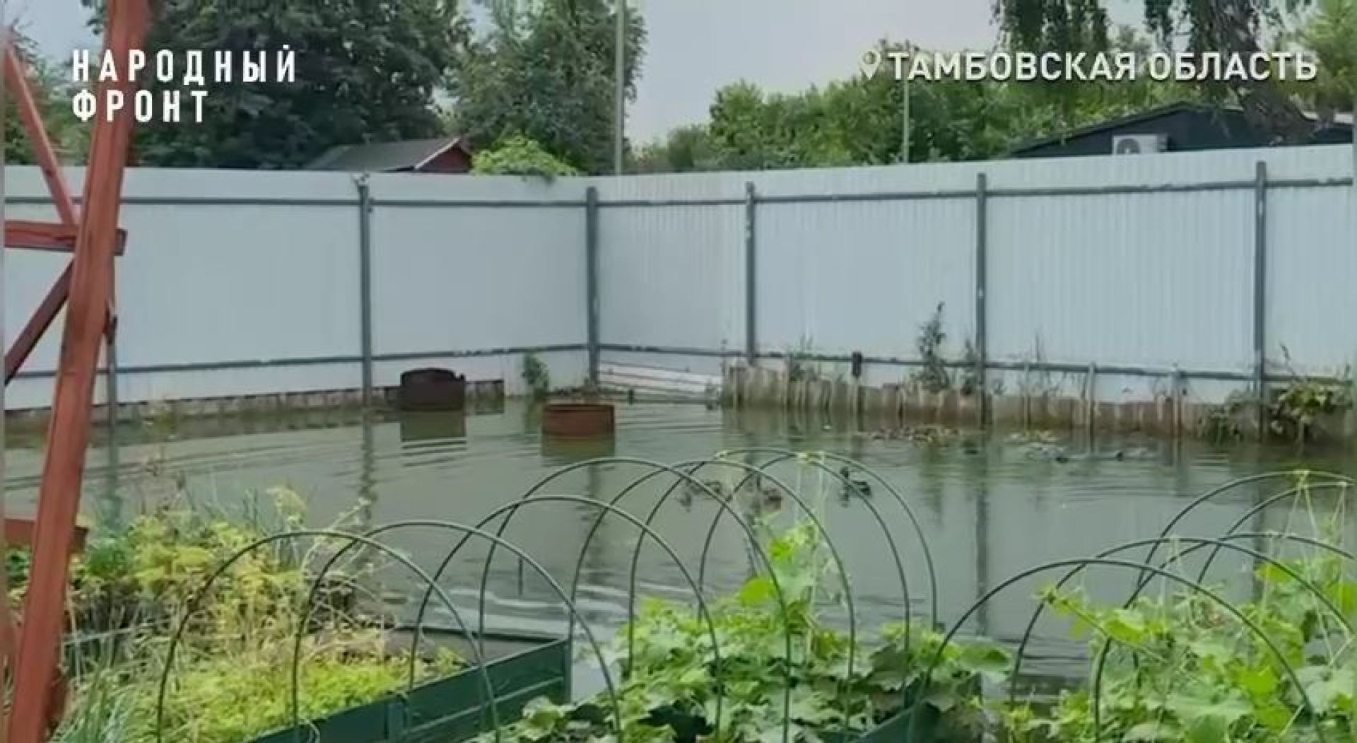 Тамбовские дачники десять лет живут в канализационном кошмаре: их участки затапливает фекалиями