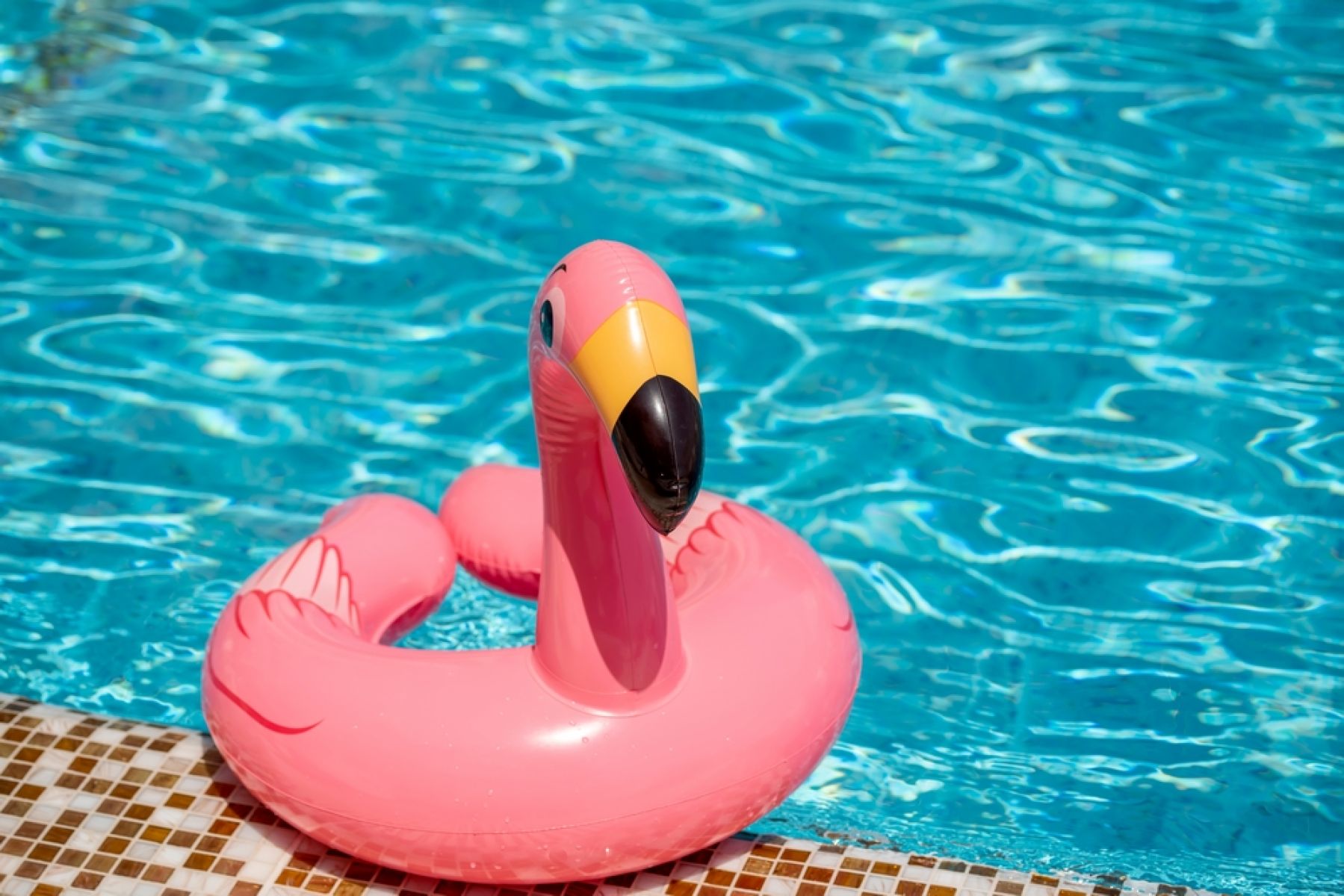 Отдых в&nbsp;столице и&nbsp;на море: куда путешествуют воронежцы — исследование big data Т2