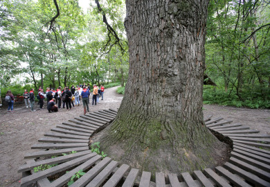 Прогноз погоды в Воронеже на пятницу, 15 августа 