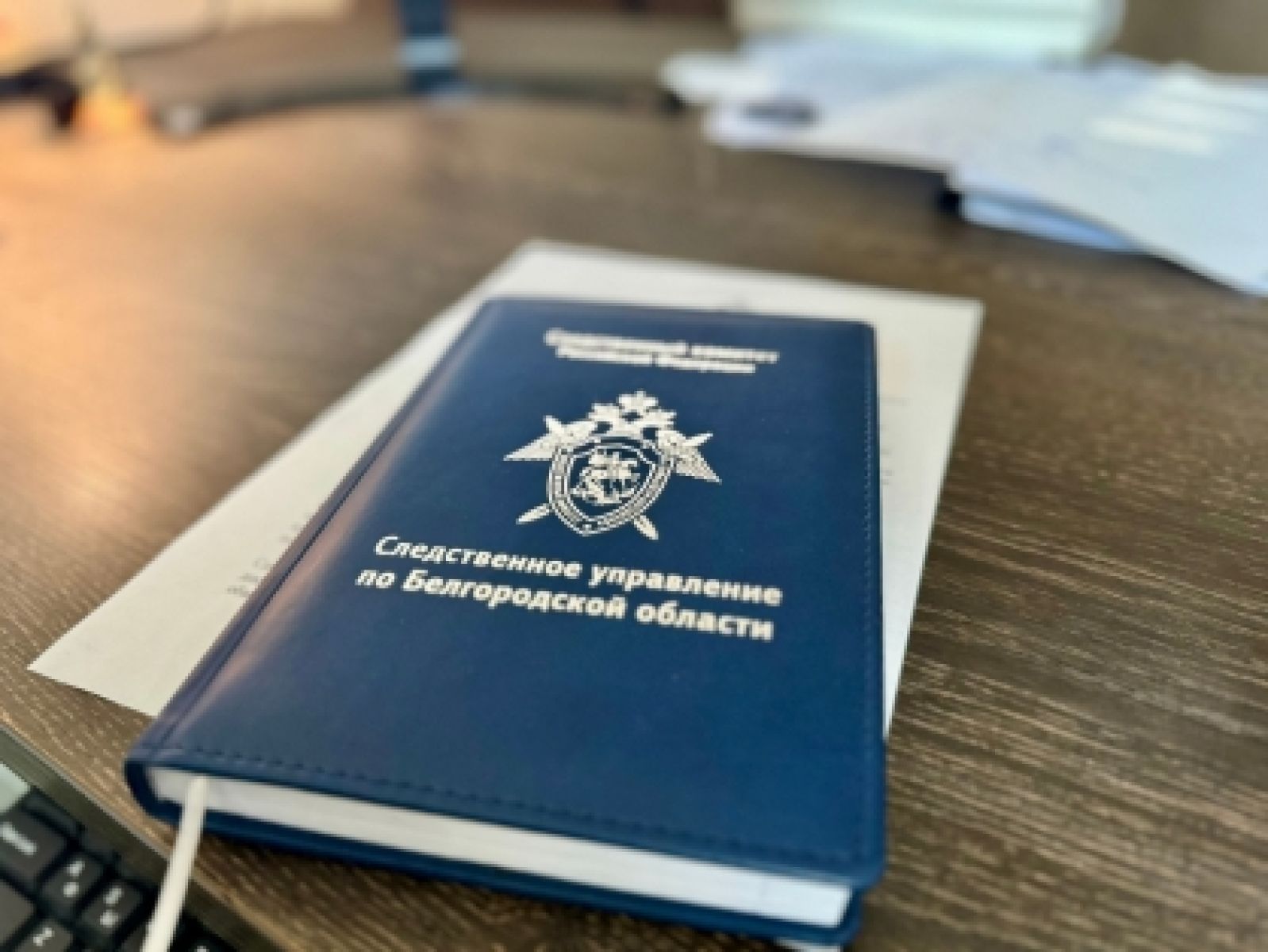 Белгородский предприниматель за хищение бюджетных рублей отделался штрафом