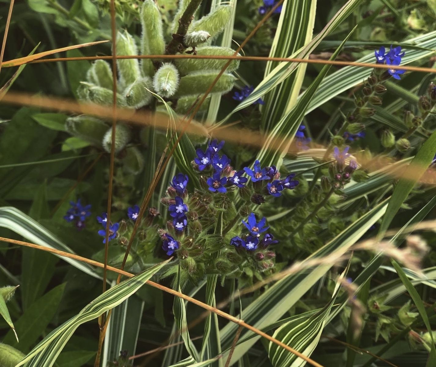 Прогноз погоды в&nbsp;Воронеже на&nbsp;субботу, 16 августа