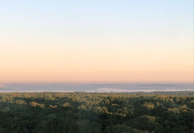 Беспилотники ВСУ приближаются к Воронежу. В городе взвыли сирены
