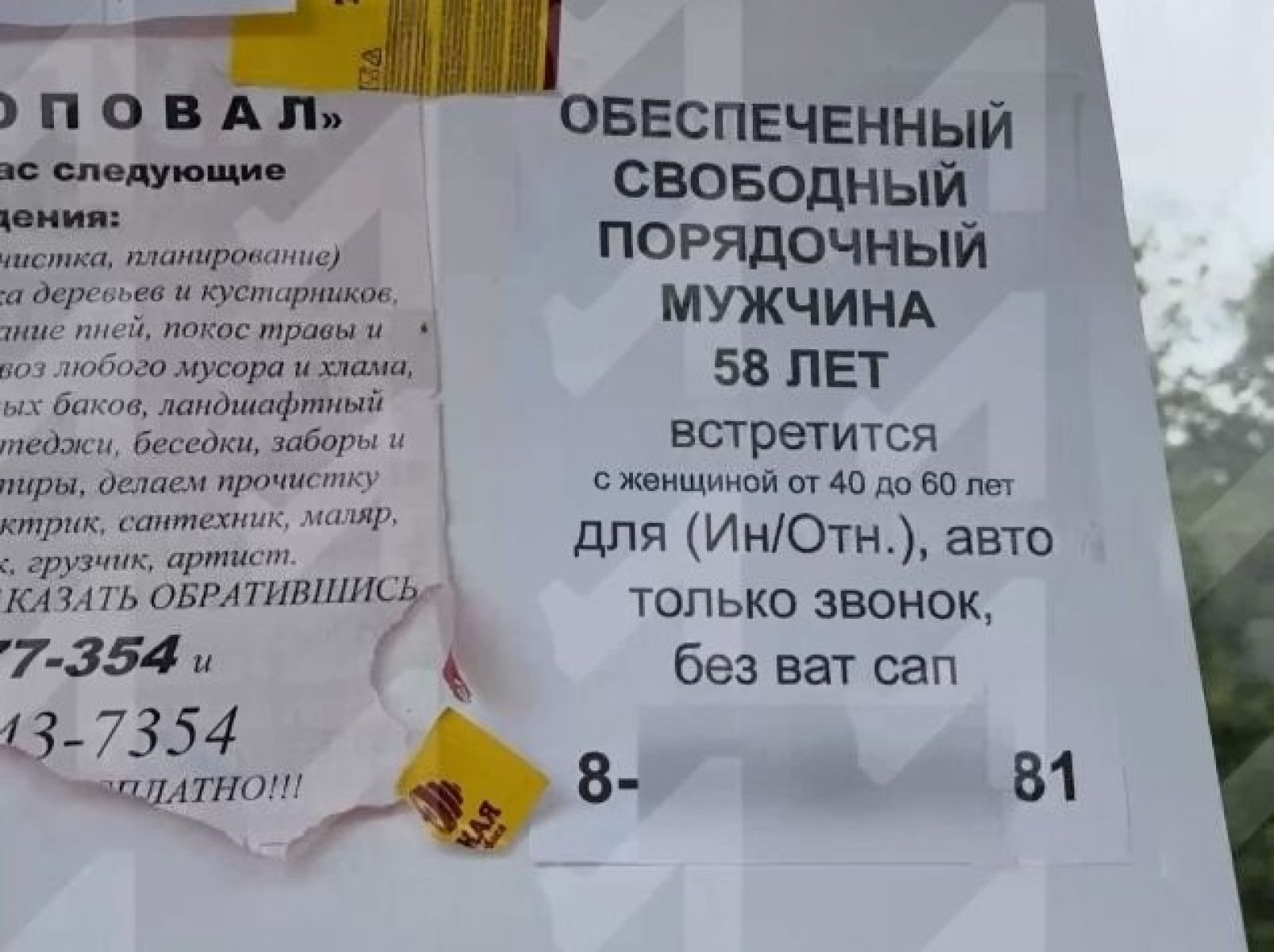 Липчанин обклеил город объявлениями о поиске спутницы для интимных отношений&nbsp;