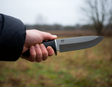 Женская ссора обернулась кровавой вендеттой в Воронеже