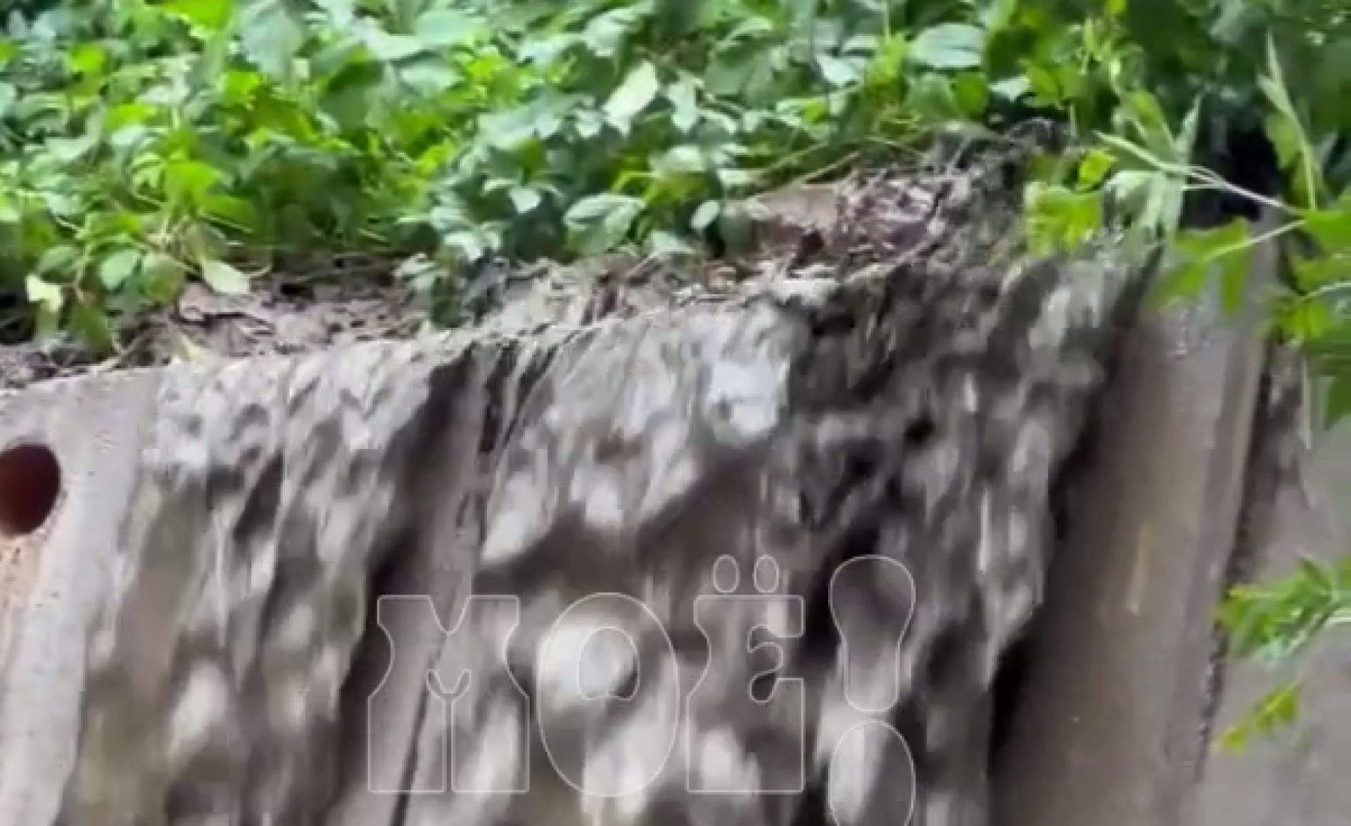 Грязевой водопад после дождя засняли в Воронеже&nbsp;