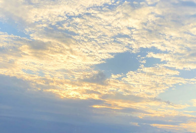 Украинские дроны засекли у границ Воронежской области 