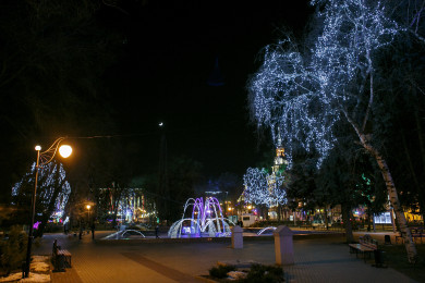 Неожиданная беременность и ДТП с пьяным водителем. Главные новости Воронежа и области за 23 августа 