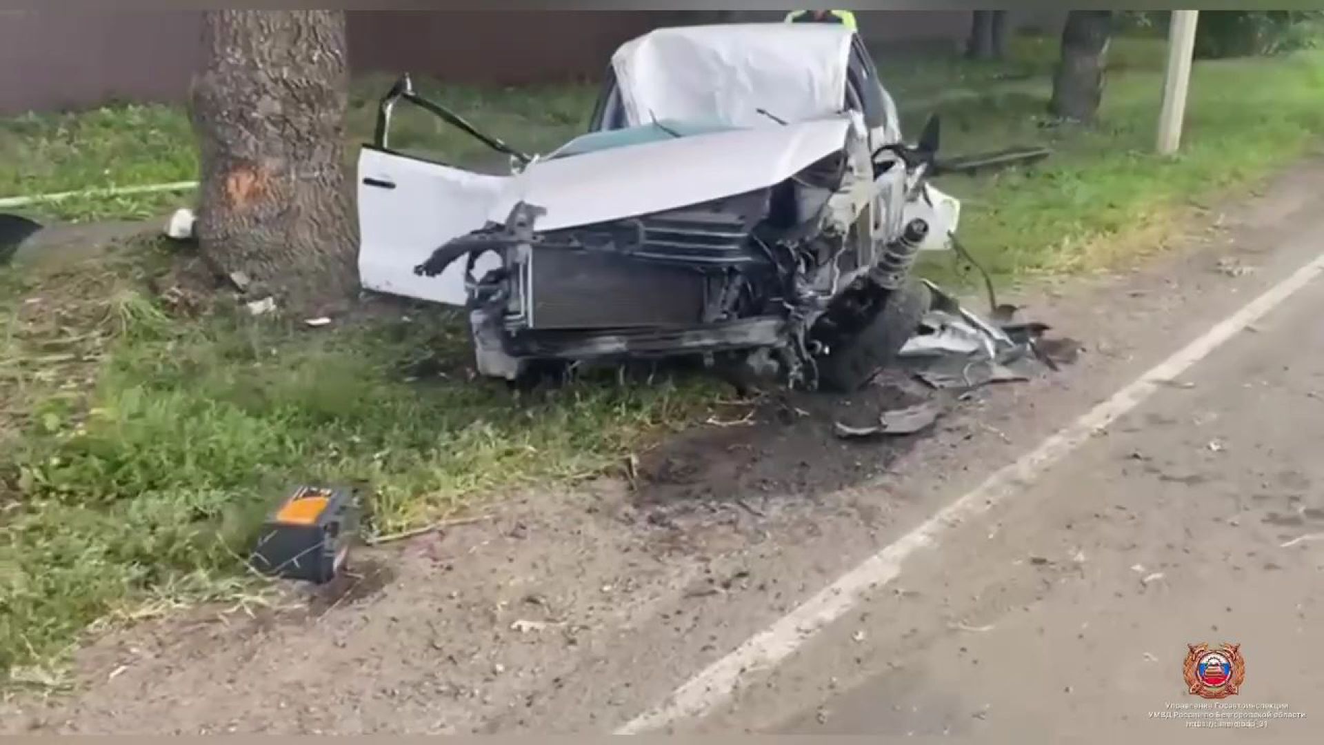 Под Белгородом Volkswagen врезался в дерево