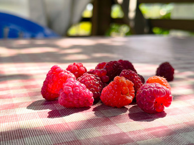 Прогноз погоды в Воронеже на среду, 27 августа