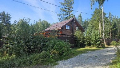 В поисках уединения: воронежцы полюбили «тихий туризм»