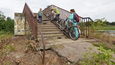 Как жители села под Воронежем своими руками починили бесхозный мост