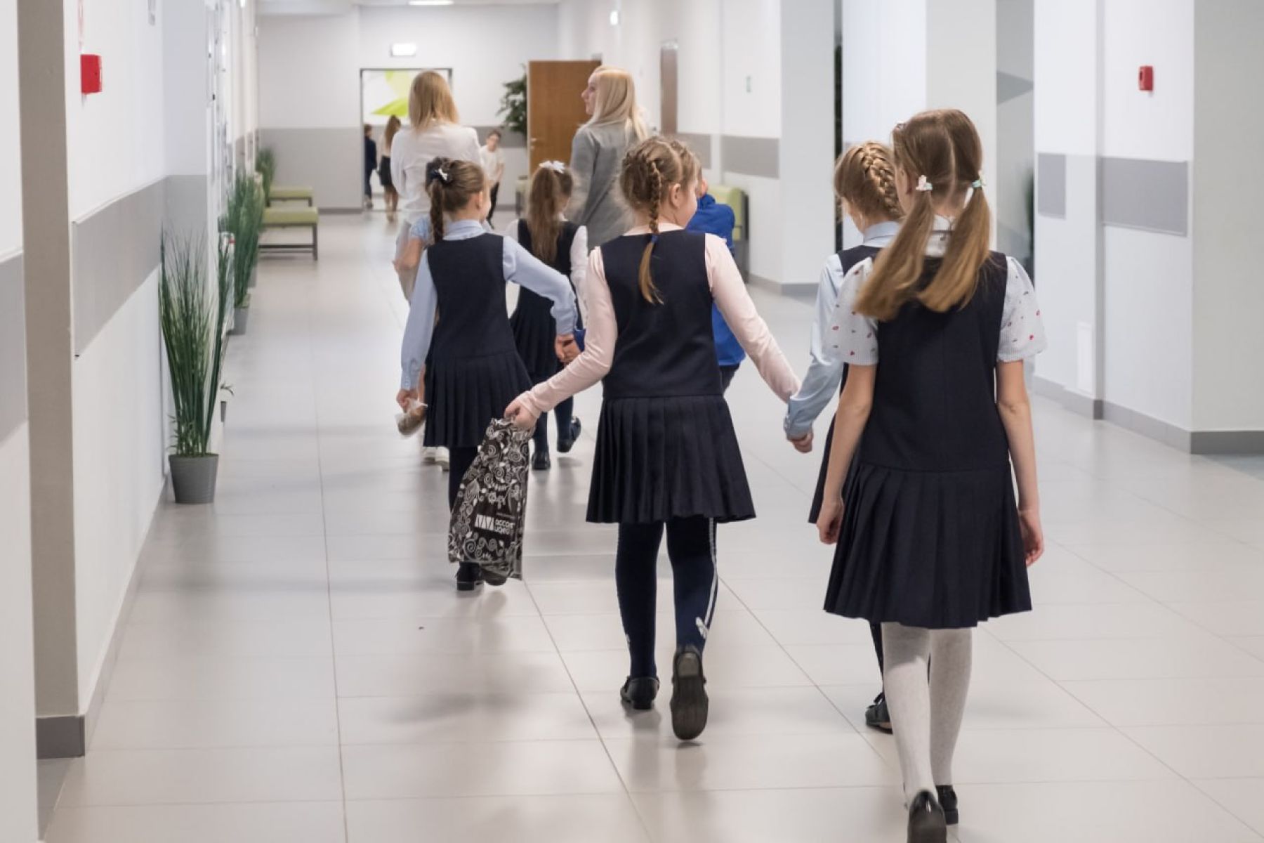 В Воронежской области будут действовать специальные проездные для&nbsp;школьников из&nbsp;многодетных малоимущих семей&nbsp;