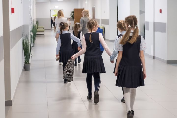 В Воронежской области будут действовать специальные проездные для школьников из многодетных малоимущих семей 