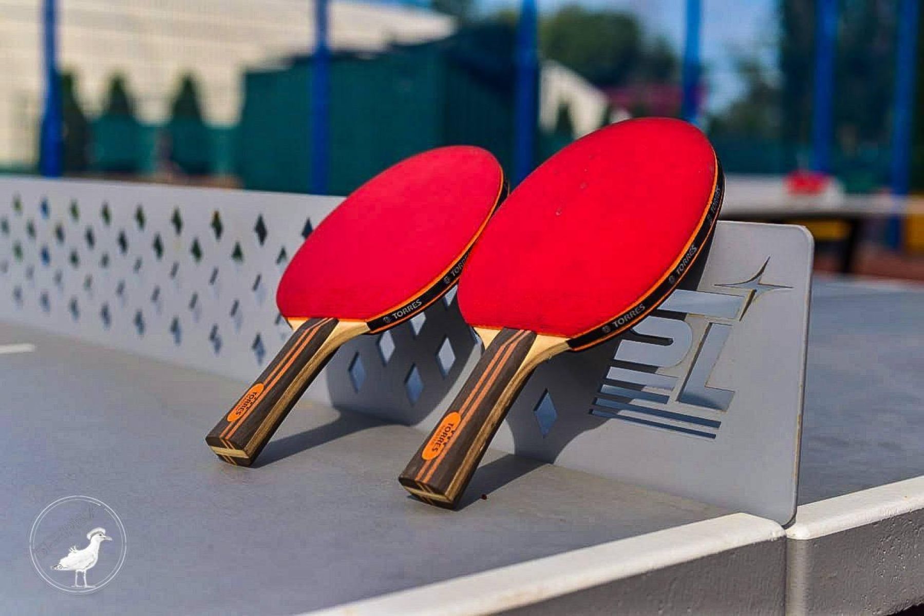 Мэр Белгорода Демидов анонсировал создание кортов для большого и падел-тенниса на «Берегах»