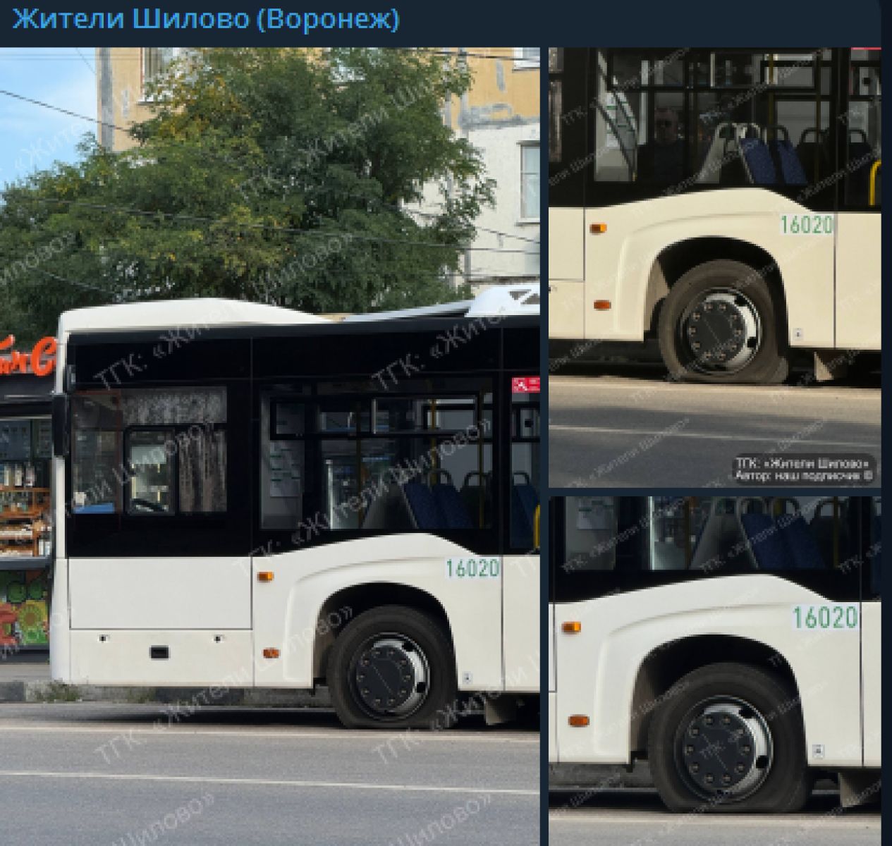 Новый воронежский автобус «не прошёл испытание суровыми дорогами»&nbsp;