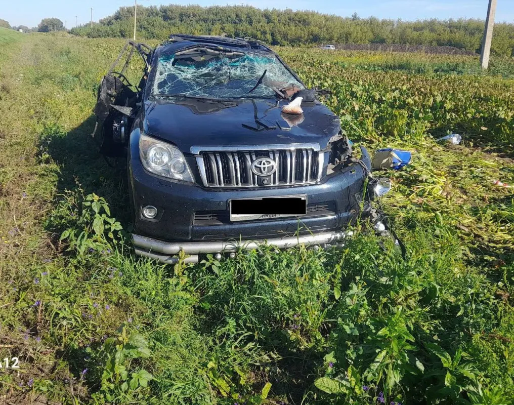 Страшная авария в Тамбовской области унесла жизни двух человек