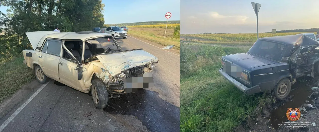 Тройное ДТП под Белгородом: одну из легковушек от удара отбросило на стоящую у дороги машину