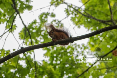 В День посиделок на кухне в Белгороде будет облачно и тепло