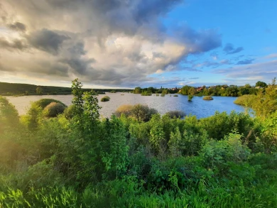 Тело девушки нашли в реке в Воронежской области