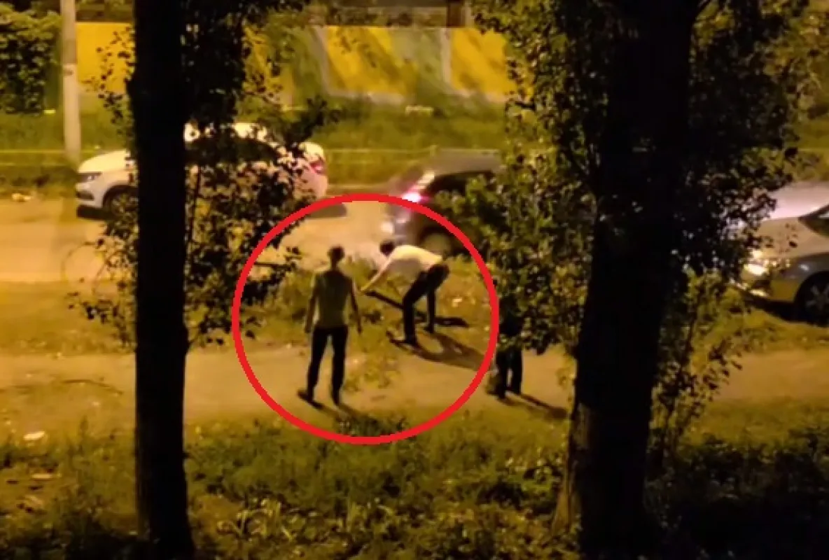 «Бессовестные люди». Варварская рубка черёмухи попала на&nbsp;видео в&nbsp;Воронеже