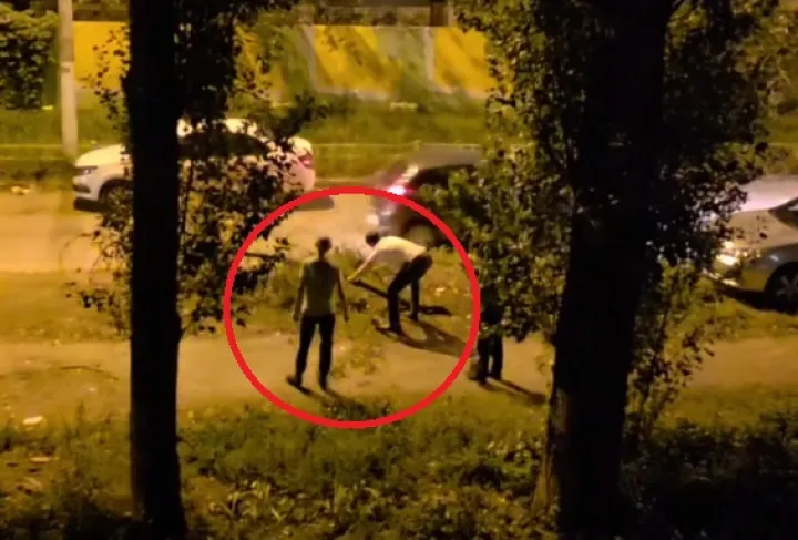 «Бессовестные люди». Варварская рубка черёмухи попала на видео в Воронеже