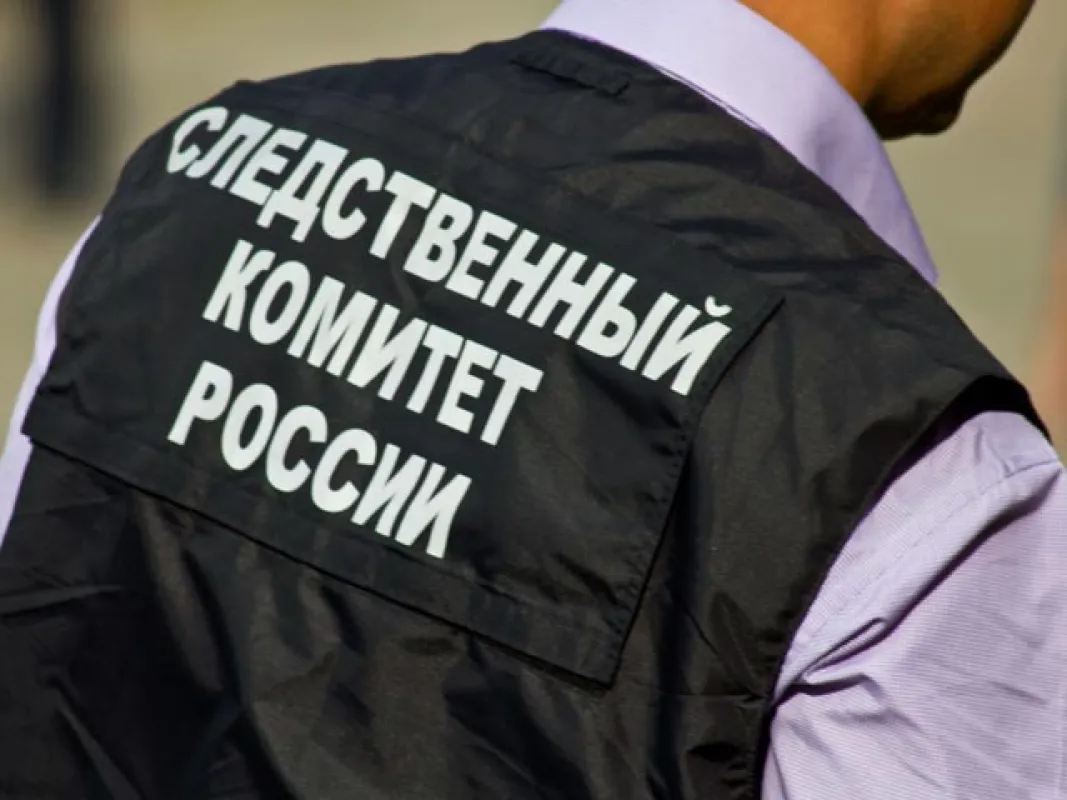 Бастрыкин взял на контроль ситуацию с несанкционированной свалкой в заповедной зоне Липецкой области