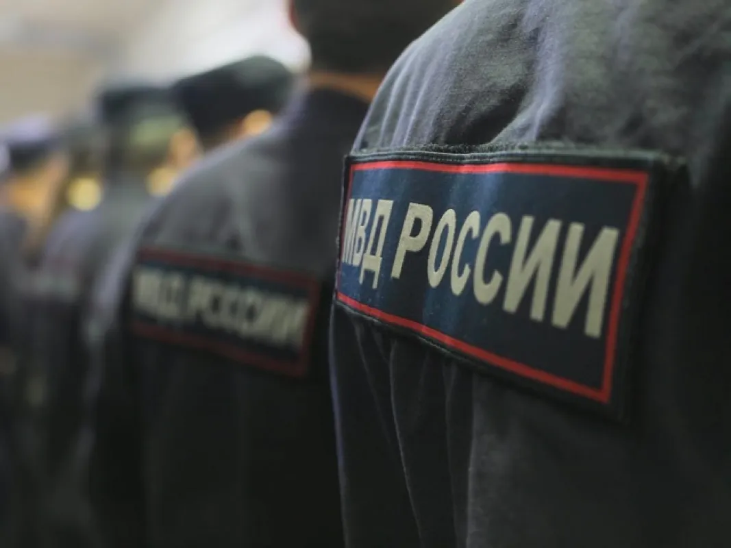 Наркоплантацию обнаружили полицейские под Белгородом