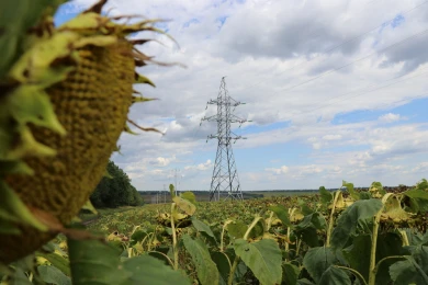 «Россети Центр» способствуют развитию агропромышленного комплекса Воронежской области   