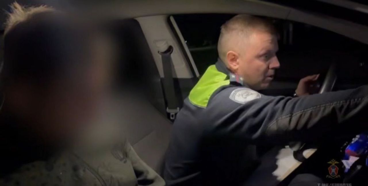 Вусмерть пьяного водителя поймали в Воронежской области и лишили авто