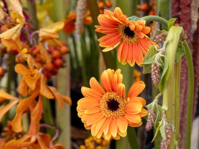 Прогноз погоды в Воронеже на пятницу, 12 сентября