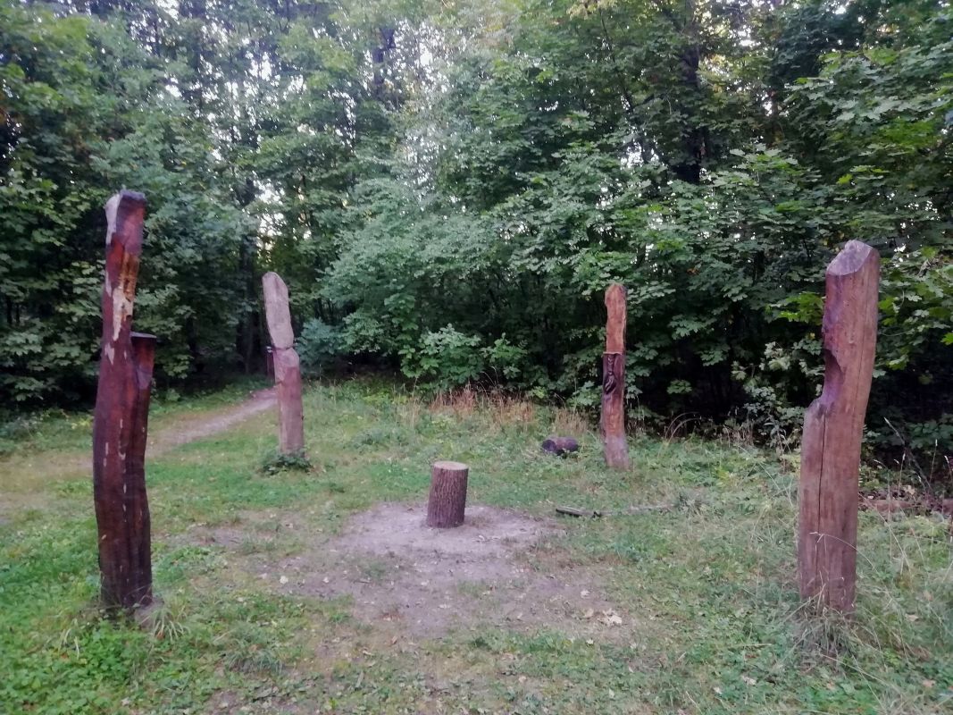 «Нелюди!» Вандалы уничтожили скульптуры на воронежской экотропе&nbsp;