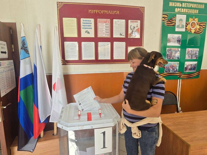 К трём часам дня явка на выборах в белгородскую Облдуму составила 43%