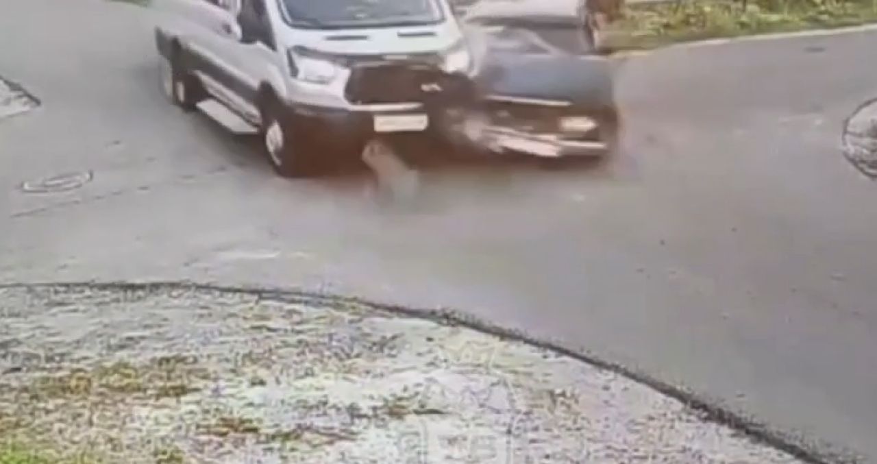 Появилось видео жуткого ДТП с тремя машинами в Воронеже