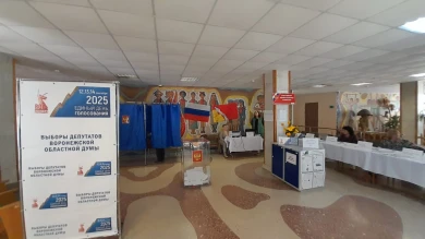 Стали известны первые итоги выборов в воронежскую Облдуму и Гордуму