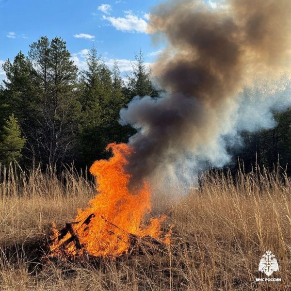 Высокая пожароопасность объявлена в Белгороде на 16 сентября