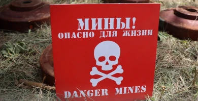 Почти 100 тысяч га приграничных населенных пунктов разминировано в Курской области