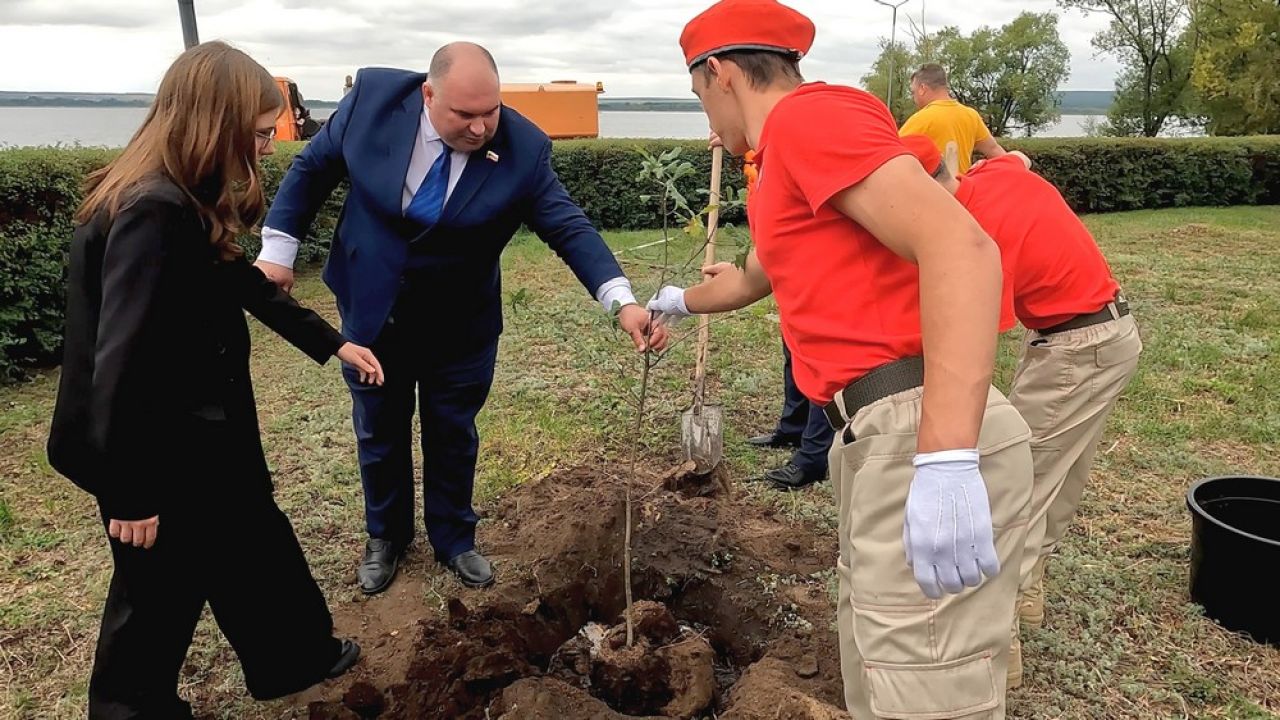 В Нововоронеже высадили дубы Победы