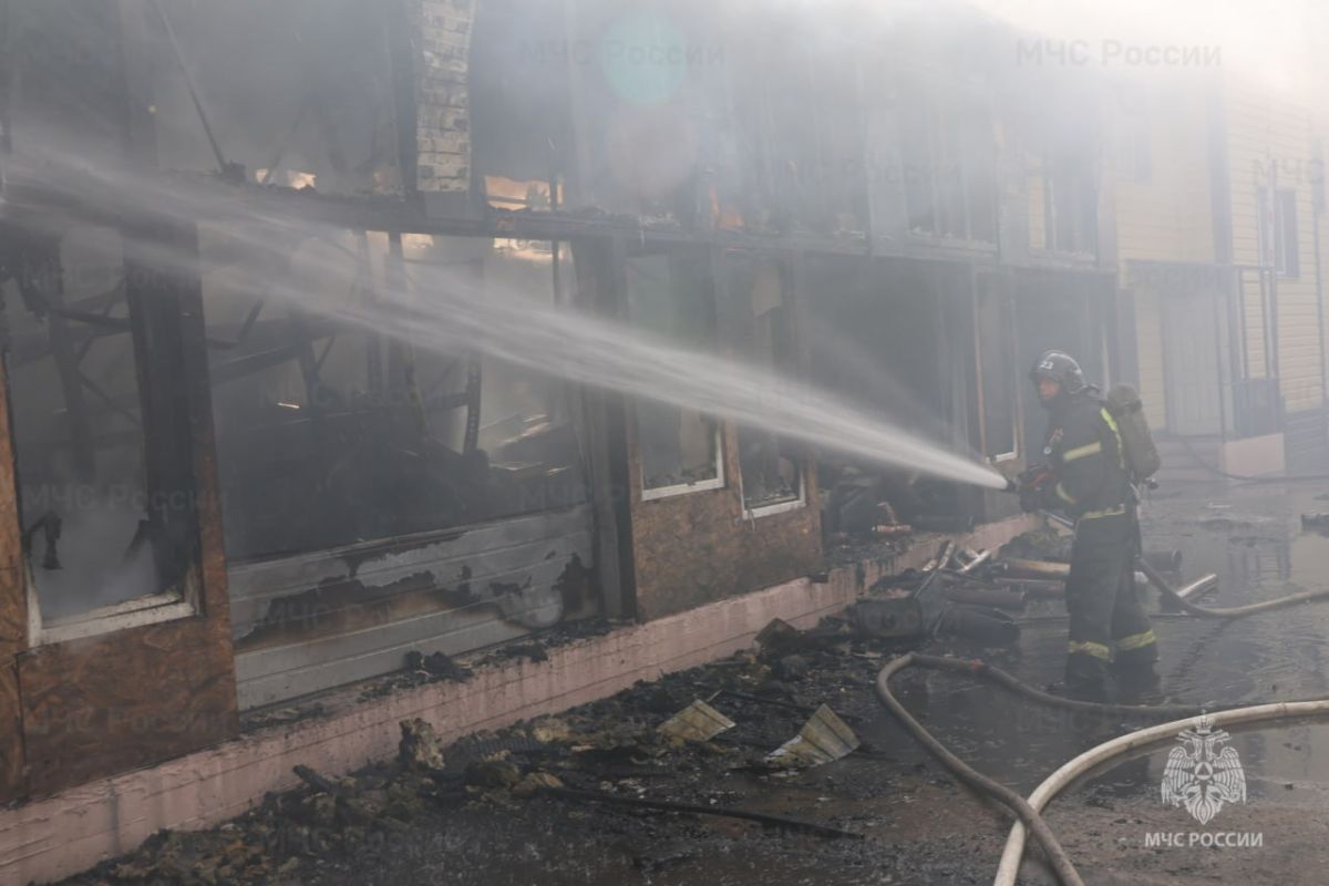 Появились фото с&nbsp;места страшного пожара на&nbsp;складе в&nbsp;Воронеже