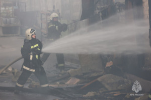 Фото: МЧС Воронежской области