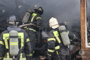 Фото: МЧС Воронежской области