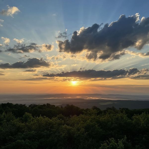 Солнце немного порадует курян в День рождения смайлика