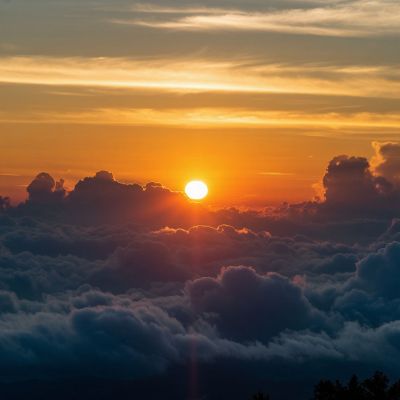 В Курске будет прохладно в День сока