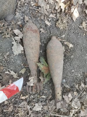 Опасная находка: за неделю в Курской области обезврежено 85 боеприпасов