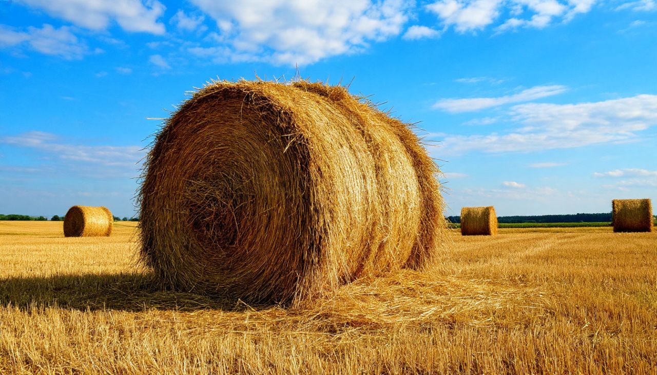 60 тюков сена уничтожило пламя на&nbsp;воронежском хуторе