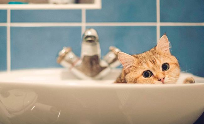 Курск ожидает отключение холодной воды