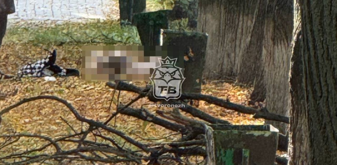 Выяснилась возможная причина гибели девушки, труп которой нашли у воронежского вуза