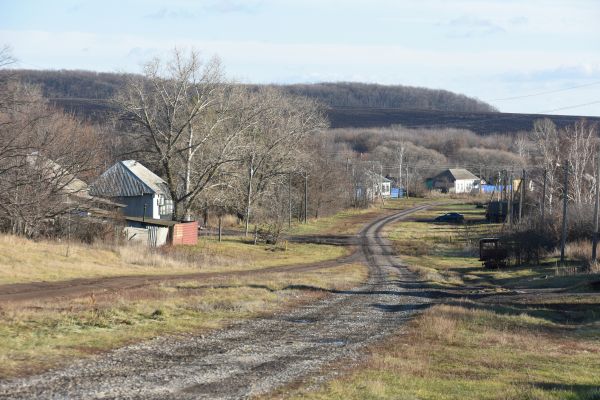 Нескучный и Правая Хава: Билайн запустил сеть 4G в 30 поселках и хуторах Воронежской области