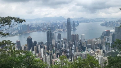 Воронежцам в Китае будет доступен бесплатный интернет на 12 часов