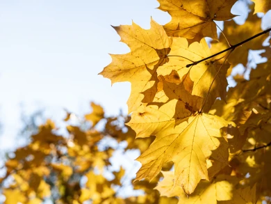 Ждать ли потепления? Какой будет погода в Воронеже на выходных