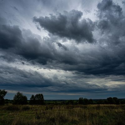 В День воспитателя в Тамбове синоптики прогнозируют прохладу